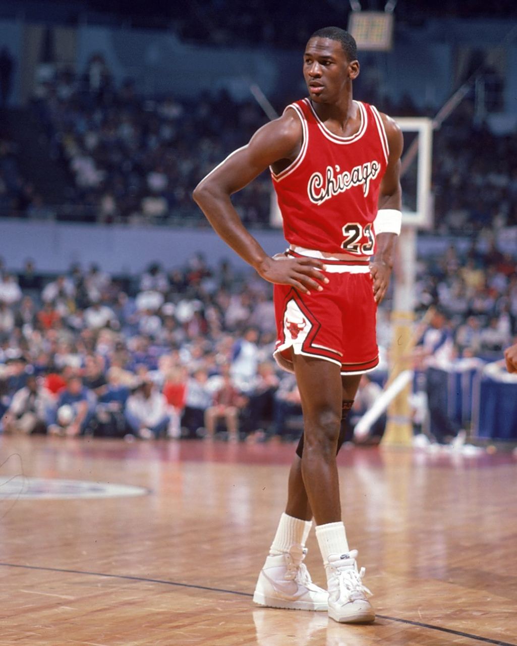 理咨询师也 理咨询师也