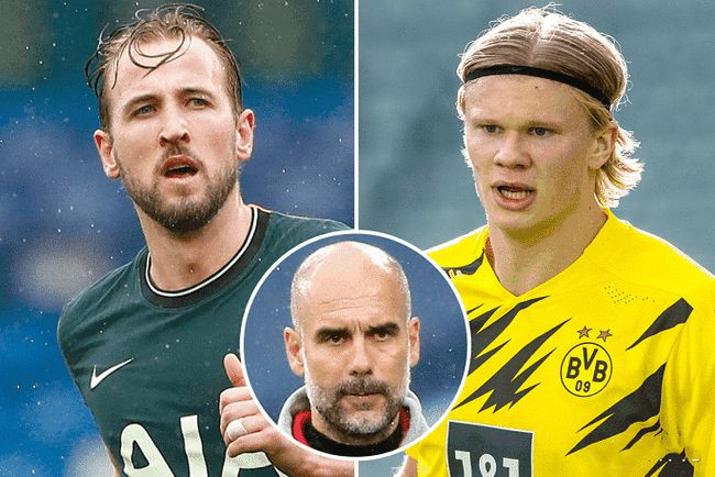 第五掌骨 第五掌骨