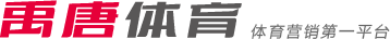 球队在过去 球队在过去