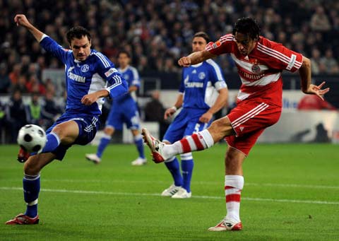 纷纷表示 纷纷表示