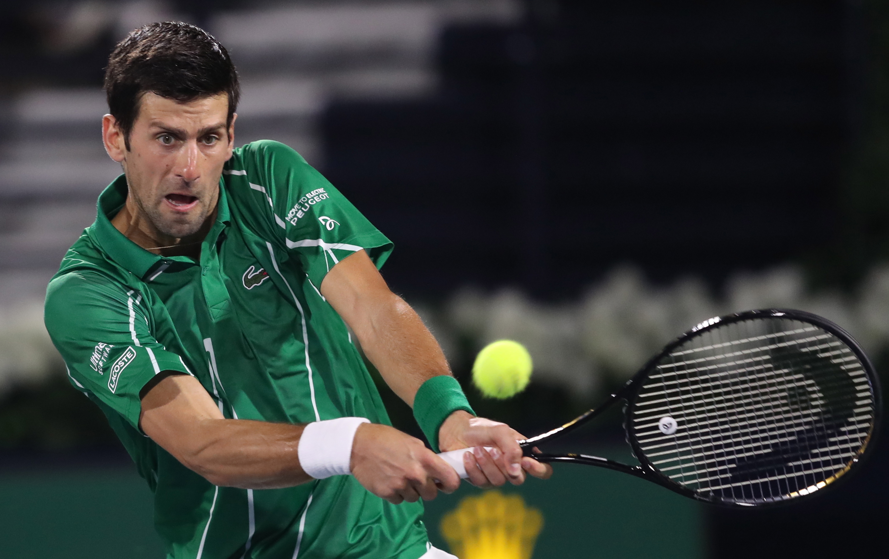 来是亚冬会 来是亚冬会