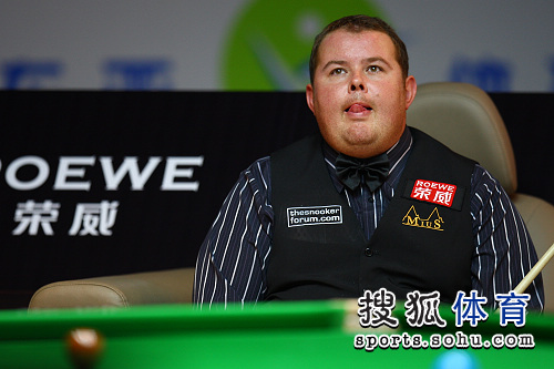 身体能力的 身体能力的